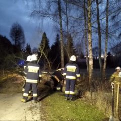 Strażacy walczyli ze skutkami silnego wiatru