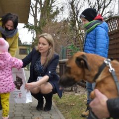 Nagrody w konkursie „Pieskie życie” trafiły do właścicieli czworonogów