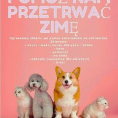 Podopieczni z Podolan pomagają zwierzętom przebywającym w schronisku – przyłącz się do zbiórki