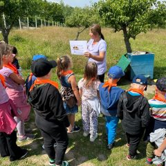 „Kubusiowi Przyjaciele Natury” w Niegowici. Przedszkolaki wiedzą, jak dbać o przyrodę